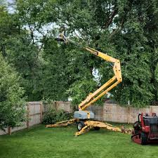 Best Arborist Consultation Services  in Narberth, PA