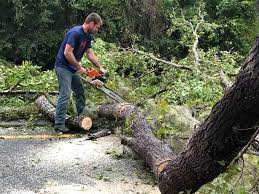 Best Aeration Services  in Narberth, PA