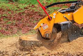 Best Pest Control for Lawns  in Narberth, PA